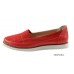 Balerini dama BLDN22